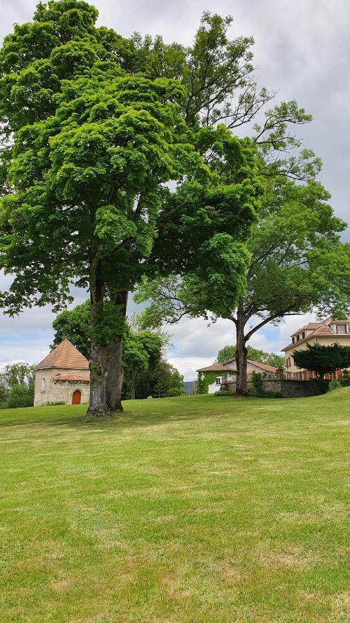 Saint-Victor-Montvianeix Domaine De Montvianeix B&B 외부 사진
