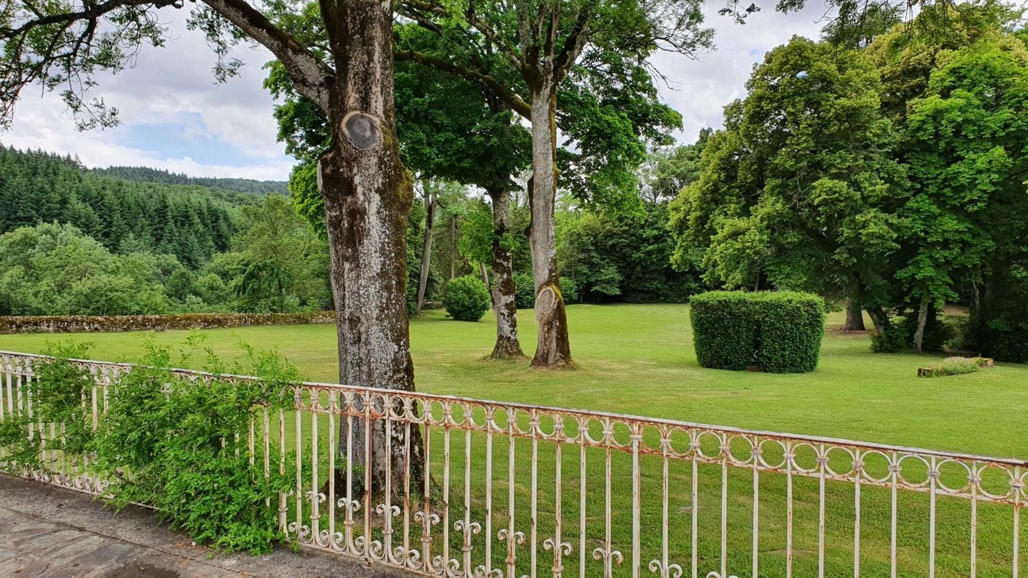 Saint-Victor-Montvianeix Domaine De Montvianeix B&B 외부 사진