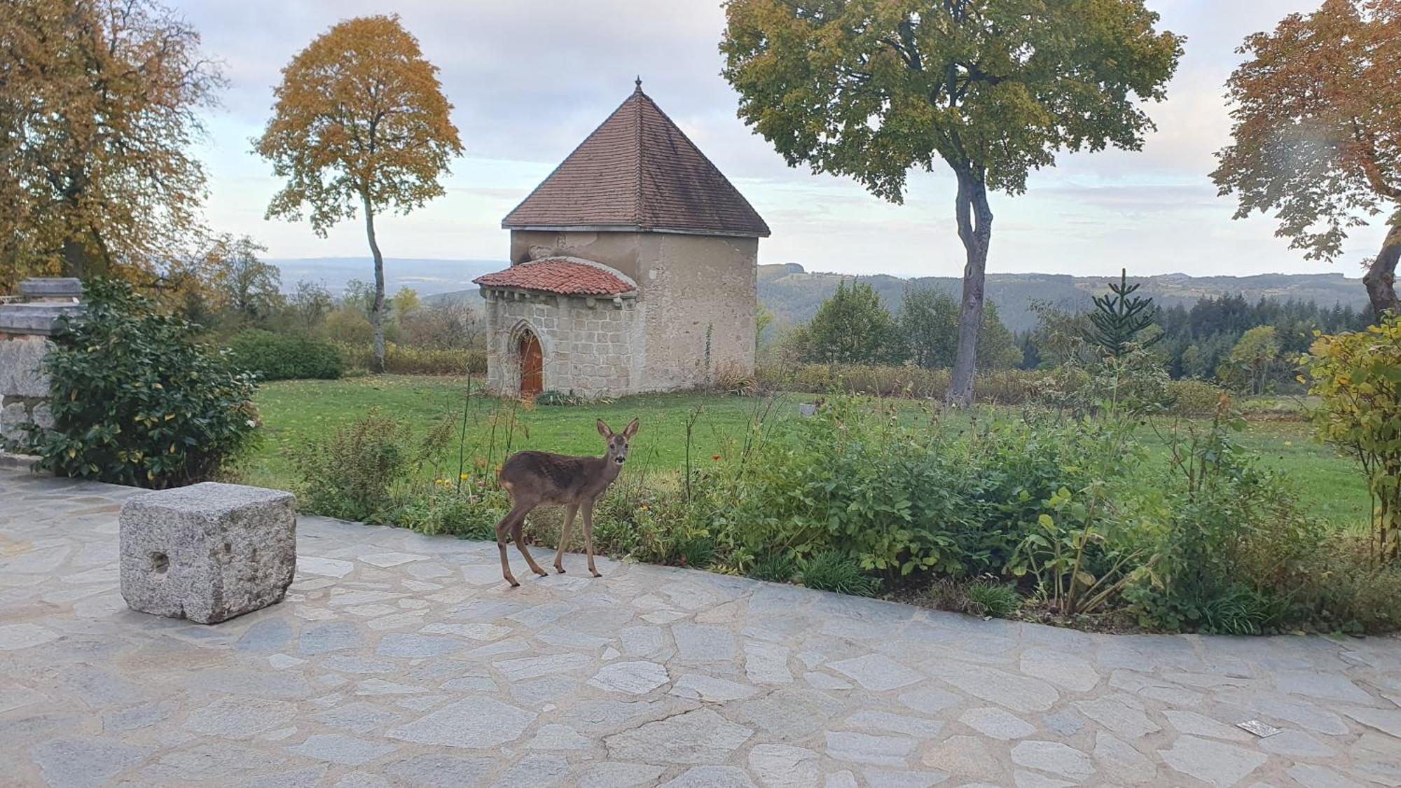 Saint-Victor-Montvianeix Domaine De Montvianeix B&B 외부 사진